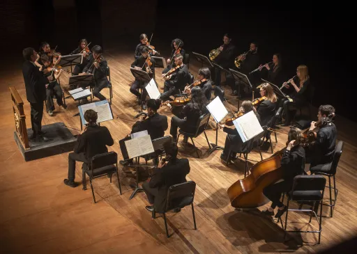 La Camerata Académica se presenta en la Sala Piazzolla