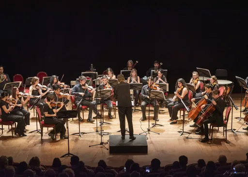 Camerata Académica